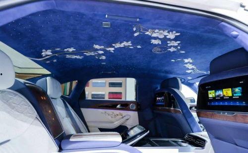 国产h9真实视频直播,驾驭科技，尽享驾驭盛宴