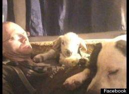 国产sex视频自拍,揭秘私密生活瞬间