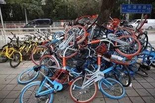 国产单车吐槽视频大全