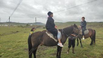 国产10分钟骑马视频,10分钟国产骑马视频带你领略骏马奔腾之美