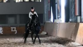 国产10分钟骑马视频,10分钟国产骑马视频带你领略骏马奔腾之美