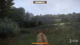 国产10分钟骑马视频,10分钟国产骑马视频带你领略骏马奔腾之美