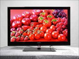 97 国产高清视频