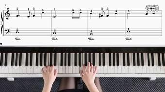 国产最佳钢琴视频教学