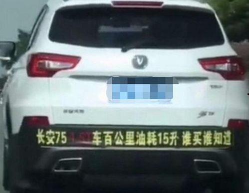 高价回收年轻国产车视频,揭秘年轻国产车市场新趋势