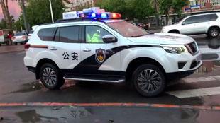 国产警车高速视频,速度与安全的守护者