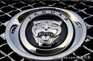 国产水滴车标视频,创新设计引领汽车潮流