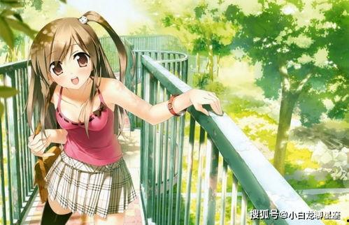 国产动漫美女糖糖视频,国产动漫中的甜美女神风采