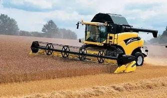 国产农业切割机视频,高效便捷的田间利器