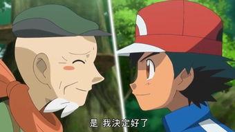 国产动画片原声视频大全,重温经典，感受童趣