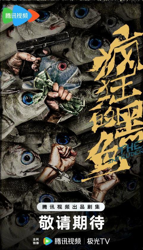 国产黑鱼动画视频大全下载,精彩纷呈的国产动画盛宴