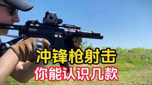 国产轻武器视频,革新之力，守护和平之光