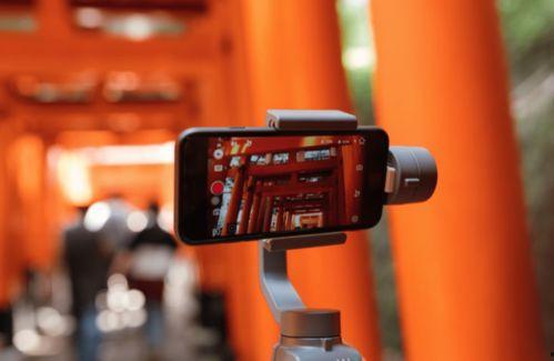 国产灭蚊拍最新视频