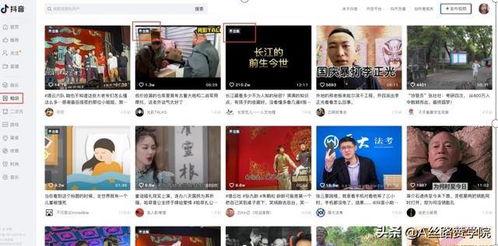 国产情趣短视频网站下载,下载热潮背后的故事