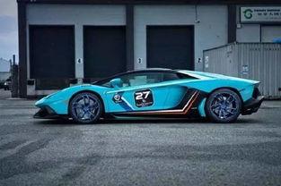 国产改装大牛出售视频大全