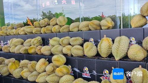 榴莲视频国产在线观看,国产在线观看的视听盛宴