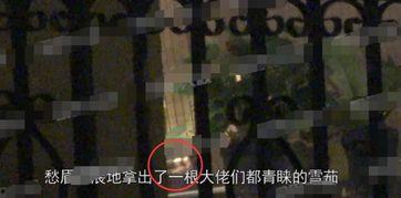 国产雪茄事件视频,揭秘国内市场风波与消费者权益挑战