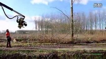 最新国产伐木机视频大全