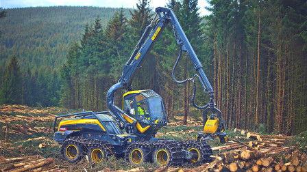 最新国产伐木机视频大全  第2张