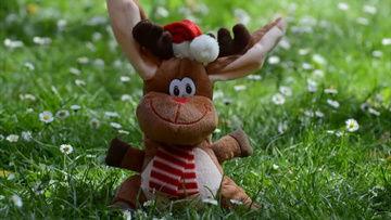 搞笑动漫视频国产版下载,欢乐无限