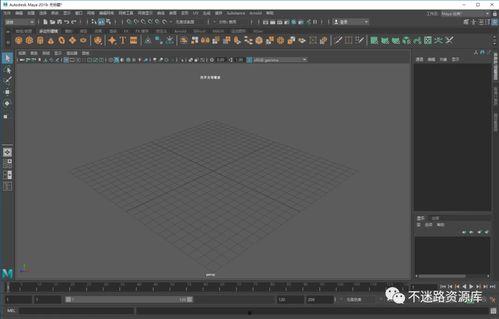 maya6玛雅视频精品国产,国产生态探索之旅  第2张