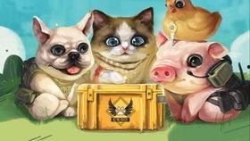 国产宠物博主短视频,国产宠物博主短视频带你领略萌宠魅力  第2张