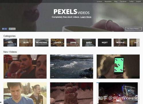 国产性情网站视频免费,带你领略国产影视魅力  第1张