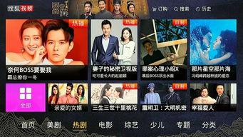 国产在线欧美区视频播放,跨越国界，共享视听盛宴  第3张